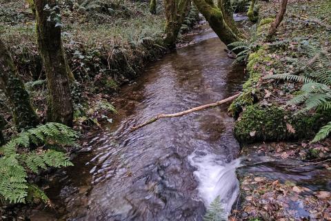 DIAGNÓSTICO Y HORIZONTES PARA EL 2025, DESDE LA CUENCA DEL RÍO DONSAL